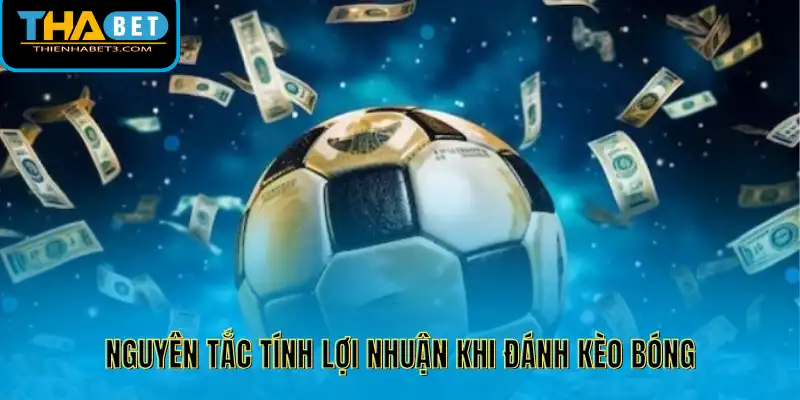 Nguyên tắc tính lợi nhuận khi đánh kèo bóng